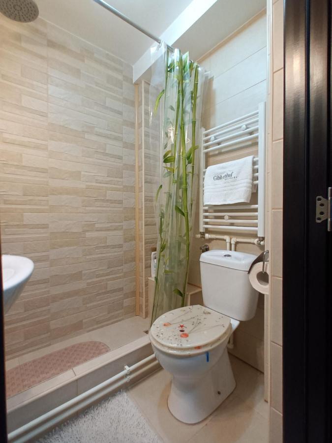 Studio Central Hunedoara Dış mekan fotoğraf