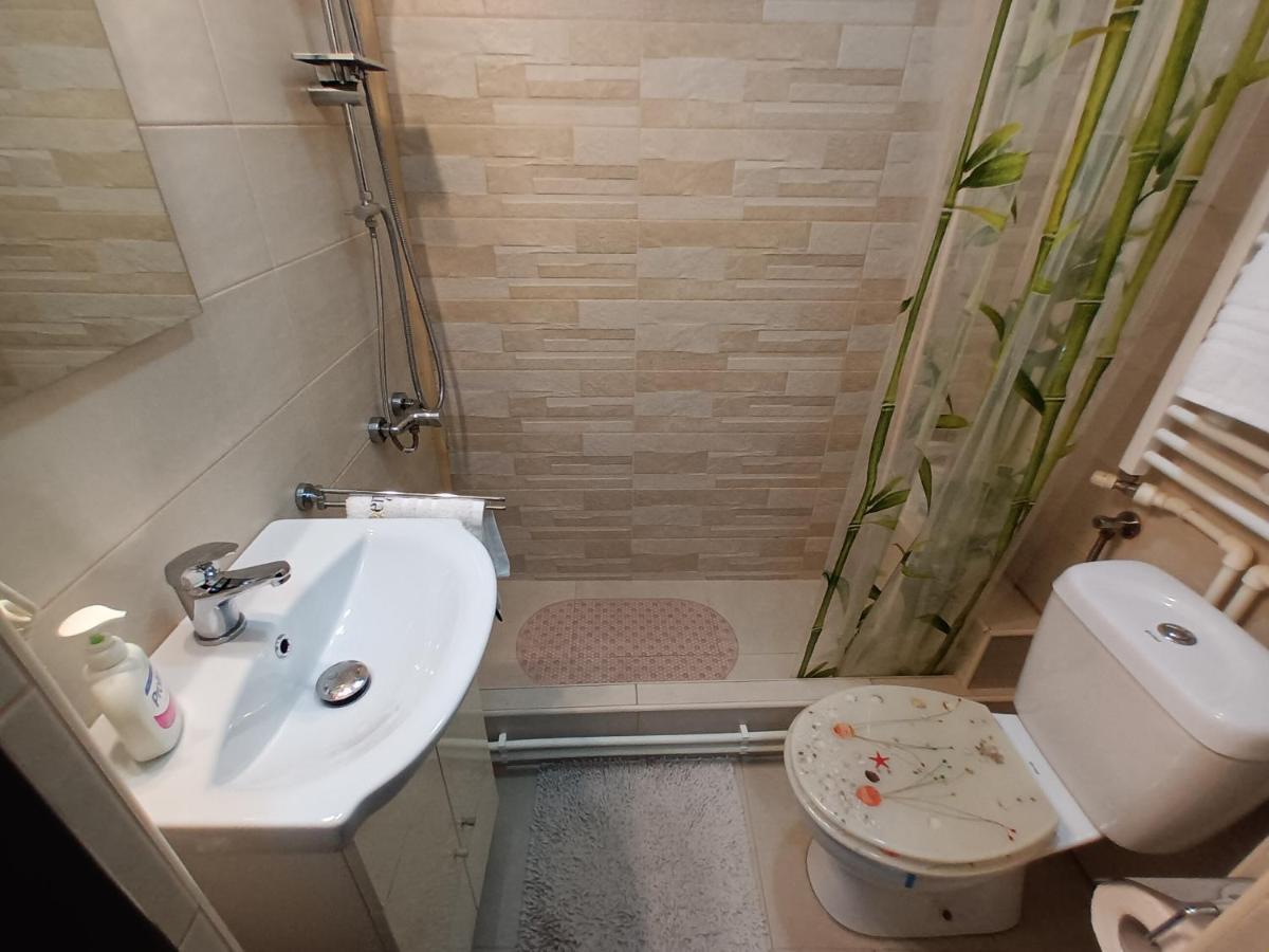 Studio Central Hunedoara Dış mekan fotoğraf